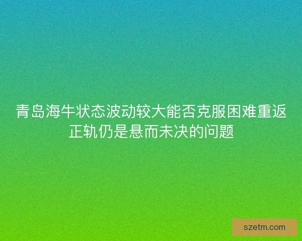 青岛海牛状态波动较大能否克服困难重返正轨仍是悬而未决的问题